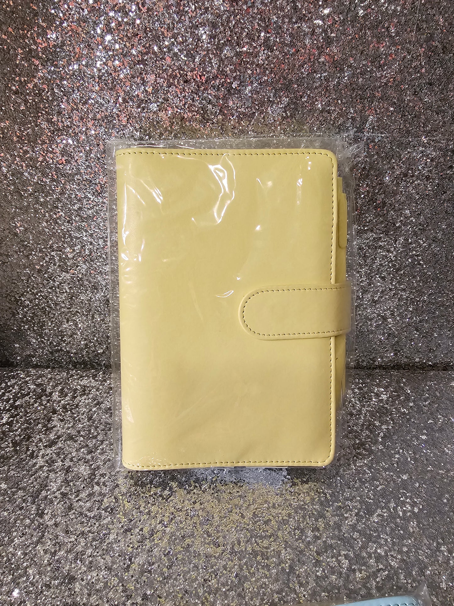 Budget binder