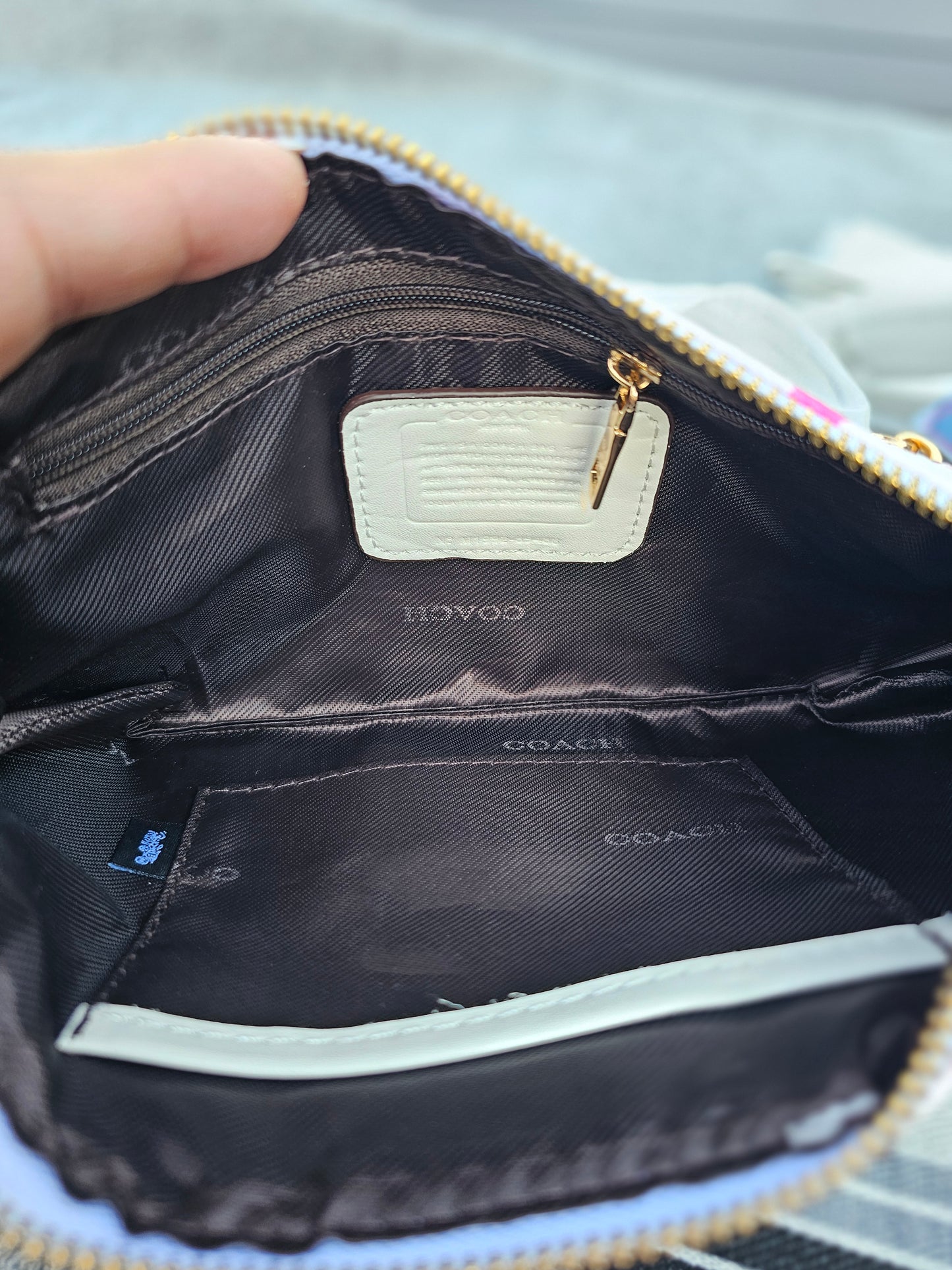 Wristlet/Crossbody